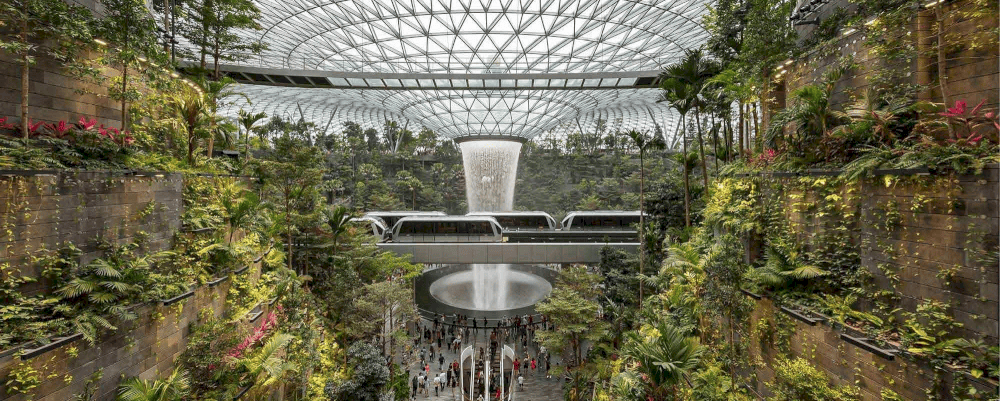 Du khách có thể tham quan Rain Vortex - thác nước trong nhà cao nhất thế giới